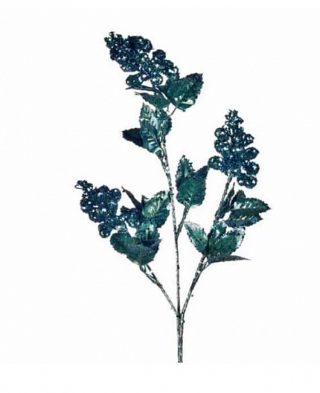 Ветвь черники